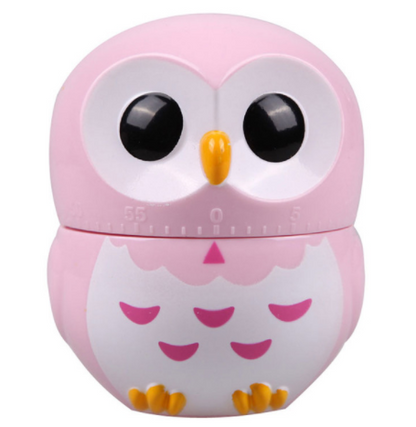 Owl Kitchen Timer