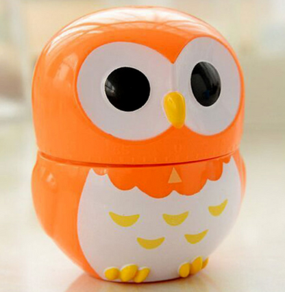 Owl Kitchen Timer