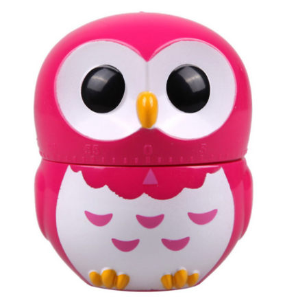 Owl Kitchen Timer